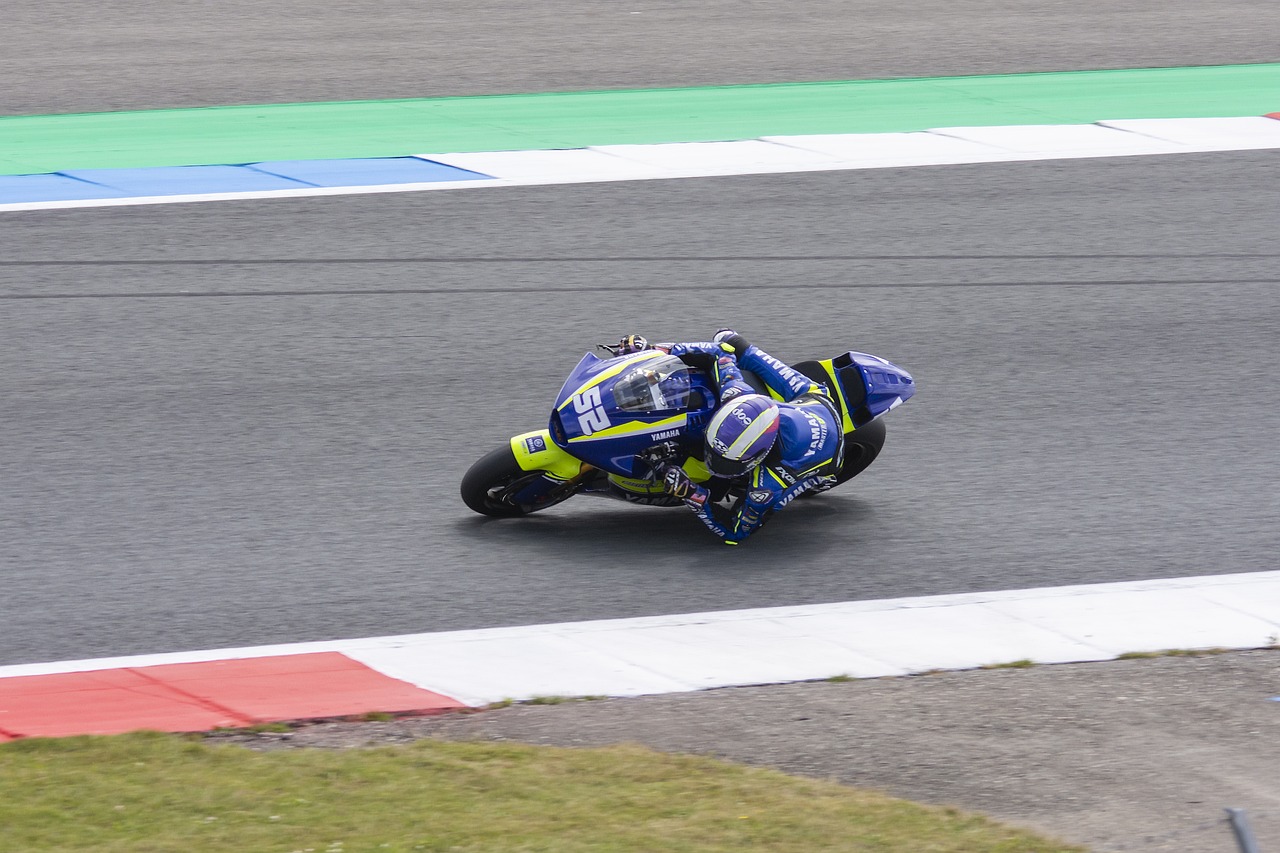 整支球队的 整支球队的