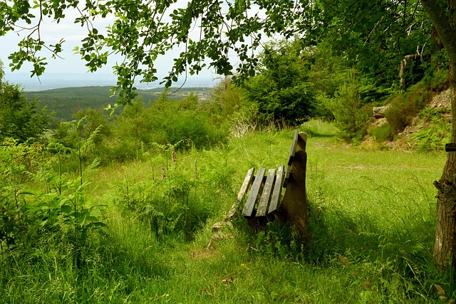姆巴佩本赛季38场28球，距大罗皇马生涯单赛季最佳进球纪录差3球.