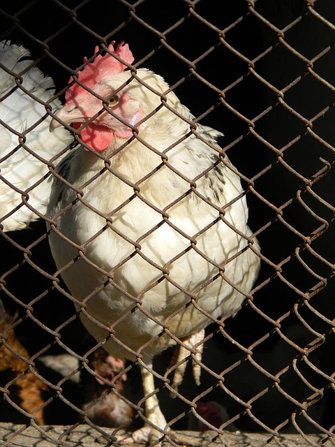 通过大量调 通过大量调