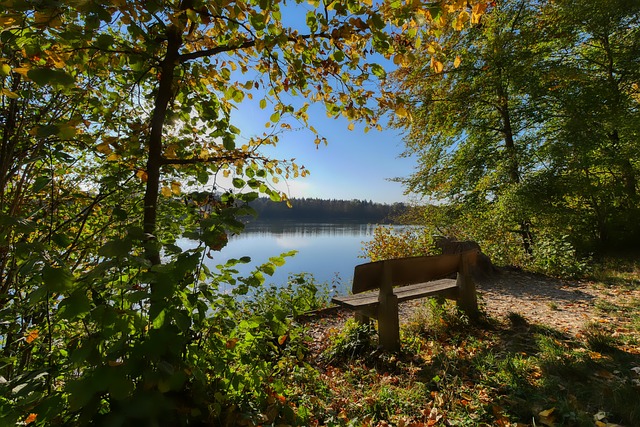 在绵密的传 在绵密的传