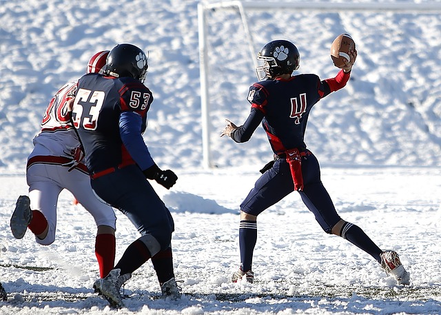 术的成熟 术的成熟